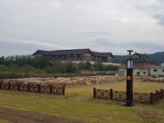 LED-BAR-2, LED-BAR-1202_경주 춘양교지 잔디 및 석재유물 보호 울타리 구입_200716