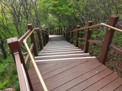 FENSUM 8438_열린관광지 조성사업 토목공사 (데크로드)_220515