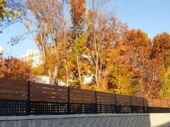 FENSUM 3438_성서산업단지재생사업(완충녹지)공사_211123
