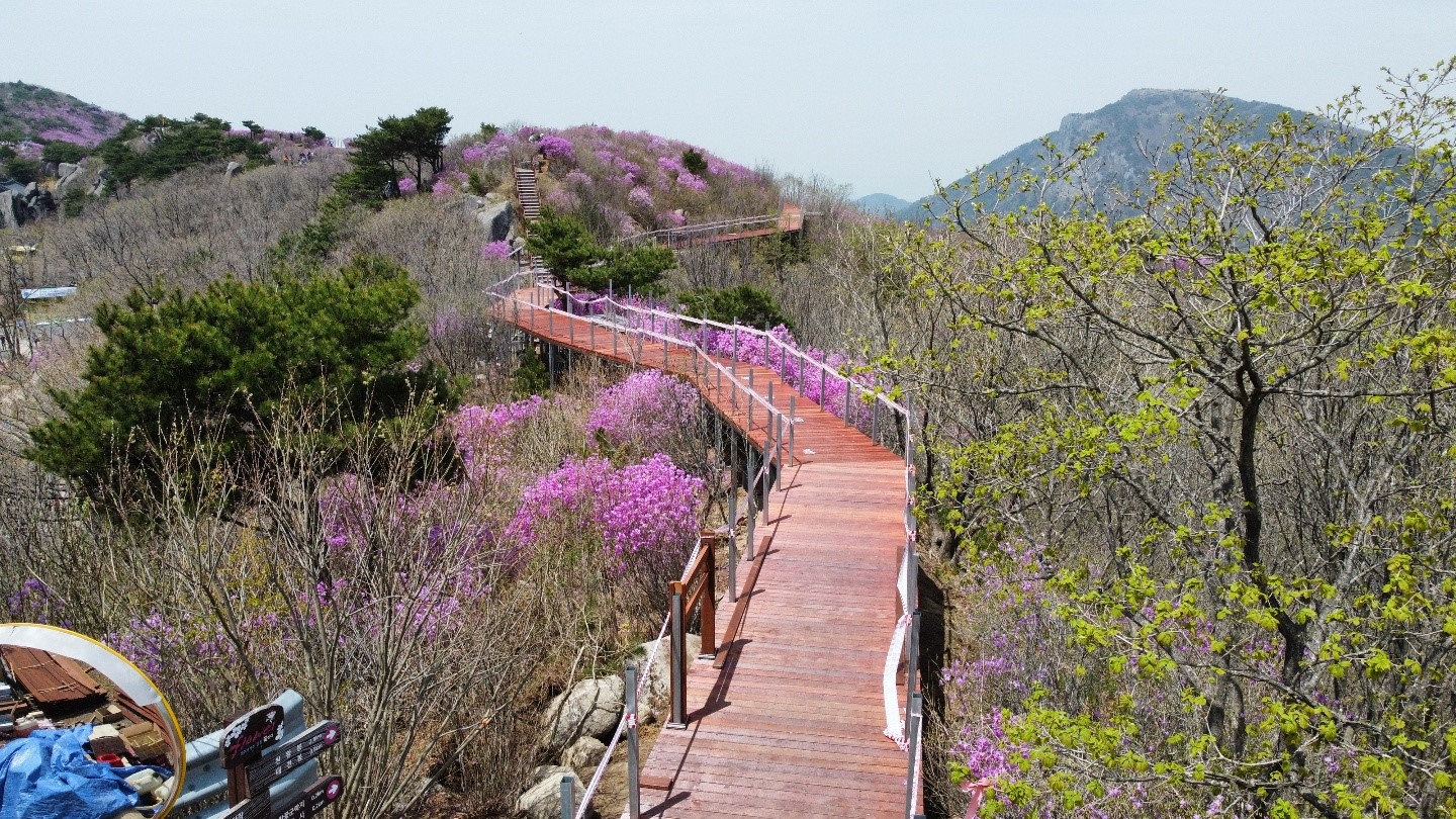 SSME 30120/ SSME2190_열린관광지 조성사업 토목공사_220515